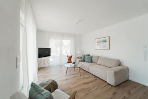 ein Wohnzimmer mit Sofa und Fernseher in der Unterkunft Bay 47° Boutique Apartments am Chiemsee in Übersee