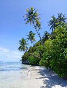 a beach with palm trees and the ocean at Intum Homestay in Kri