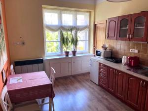 a kitchen with a table and a table and a window at Apartmán Flora in Olomouc