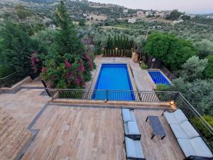 an aerial view of a swimming pool in a backyard with trees at Villa Saya Jerash in Jerash +26 photos