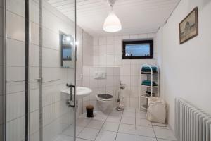 a bathroom with a shower and a sink and a toilet at Ferreira's Ferienwohnung in St. Blasien +12 photos