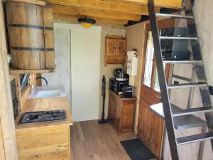 a small kitchen with a stove and a ladder at Tiny House La Chevêchette in Besson
