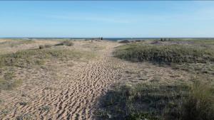 un chemin de terre au milieu d'un champ dans l'établissement Moka - Holiday Home by the Sea, à Barra de Portezuelo