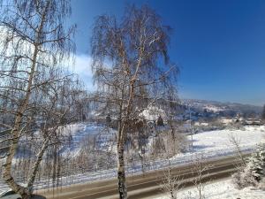 two trees standing next to a road in the snow at Apartment Borac - Free Parking - Free WiFi in Travnik