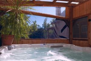 duża wanna jacuzzi w domu z palmą w obiekcie Spa & Outdoor Pool - Montagnard des Pays-d'en-Haut w mieście Sainte-Adèle