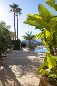 a resort with palm trees and a sandy beach at Casanova 20G Calpe - Ifach Holiday Homes in Calpe