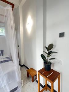 Postel nebo postele na pokoji v ubytování Monstera Haven Hiriketiya
