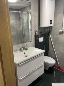 Ένα μπάνιο στο Apartament Zoya +10 φωτογραφίες
