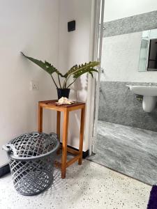 Koupelna v ubytování Monstera Haven Hiriketiya