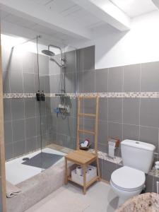 a bathroom with a shower and a toilet and a tub at La Maison d'Art in Lacour +32 photos