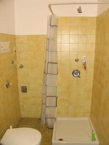 a bathroom with a shower and a toilet at Al Viandante Casa Rosa in Sitran +15 photos