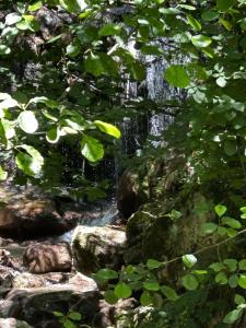 a stream of water with rocks and trees at Vila Lush in Sarajevo