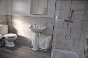 a bathroom with a toilet and a sink and a shower at The Great Escape by Tŷ SA in Newport +5 photos
