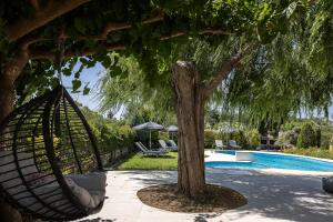 a hammock hanging from a tree next to a pool at Villa Lambros in Roústika