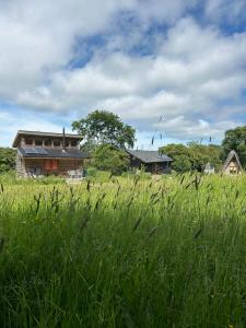 a field of tall green grass with houses in the background at Aframe Tiny Home SILVA with private hot tub in Cowes +19 photos