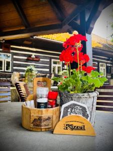 Fotografie z fotogalerie ubytování Motel Charlie v destinaci Kovač
