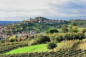 a town on top of a green hill with vines at La casota 'd Marmo in Castagnole Lanze