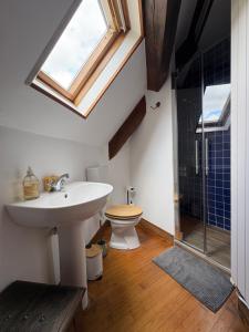 un bagno con lavandino, WC e lucernario di Gîte de La Mutte 12 couchages a Montireau Altre 8 foto