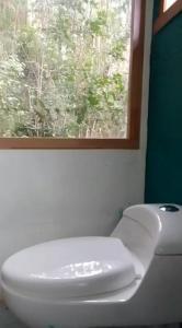 a white toilet in a bathroom with a window at Domos Temuco, Cumbres del Conunhuenu in Temuco