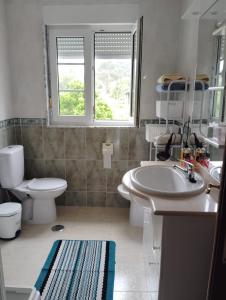 a bathroom with a sink and a toilet and a window at Agra Boa in Bornalle +39 photos