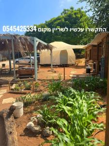a tent and some plants in a yard at משק רפאל - פרדס חנה in Pardes H̱anna +2 photos