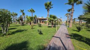 a wooden path through a park with palm trees at Erli's Apartment in Golem