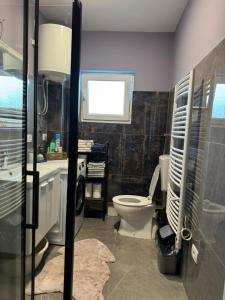 Koupelna v ubytování Apartman Carlo + 19 fotografií