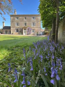 a garden with purple flowers in front of a building at Crudwell House in Crudwell