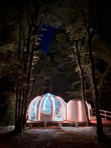 a domed greenhouse in a forest at night at La bulle in Villexavier