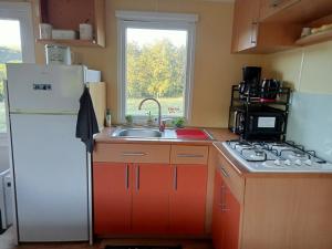 a kitchen with a white refrigerator and a sink at Ferme de ussau in Betchat
