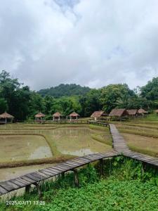 琅勃拉邦3 days tour to visit surroundings of Luang Prabang的田野上的一座木桥，背景是小屋 更多17张照片