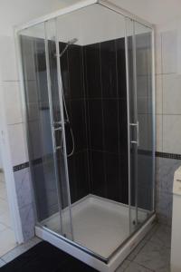 a shower with a glass enclosure in a bathroom at Maison centaure in Maisonnais