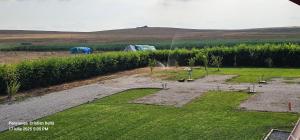 a garden with trees and tents in a field at Camping La Agop in Murighiol