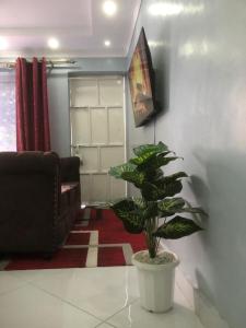 a living room with a couch and a potted plant at Bright Serene Studio Bnb in Nairobi +7 photos