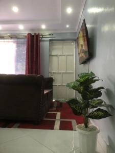 a living room with a couch and a plant at Bright Serene Studio Bnb in Nairobi