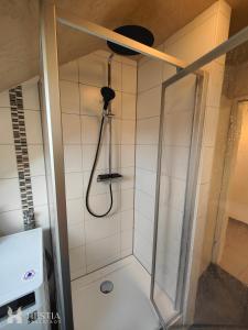 a shower with a shower head in a bathroom at Hestia Ferienwohnung Bamberg-Hallstadt in Hallstadt +7 photos