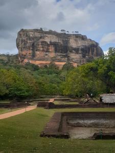 a large mountain in the distance with a grass field at Green Bamboo House in Sigiriya