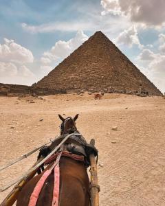 Photo de la galerie de l'établissement Distory Of Pyramids History, au Caire
