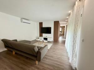 Una sala de estar con un sofá y un televisor. en Casas Castelhano - Minho Braga, en Mire de Tibães