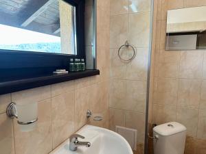 a bathroom with a sink and a toilet and a window at Къща за гости Sunrise - Батак in Batak +25 photos