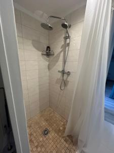 a shower with a shower curtain in a bathroom at Studio Villa Mon Rêve in Nice +13 photos