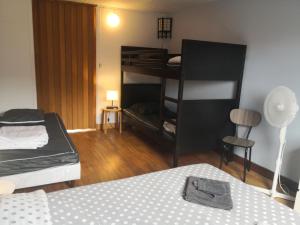 a room with two beds and a bunk bed at Le logis des Fadettes in Saint-Martin-le-Mault +21 photos