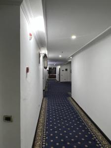 Fotografie z fotogalerie ubytování Kenenisa Evertt Hotel v destinaci Addis Abeba