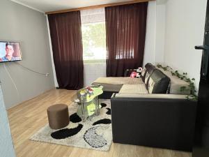Posezení v ubytování Apartman u srcu apatina