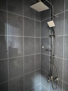 a bathroom with a shower with gray tiles at Apartments VRAZOVA in Sarajevo +24 photos
