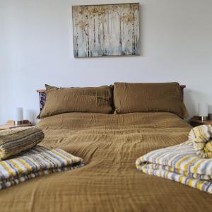 ペイントンにあるPreston Beach Houseの寝室に枕が2つ置かれたベッド