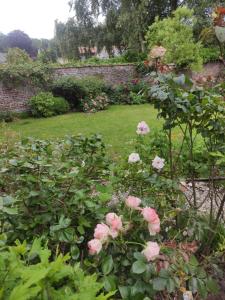 a garden with pink roses and a brick wall at Les agapanthes in Le Bourg-Dun