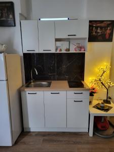 Kuchyň nebo kuchyňský kout v ubytování EVA suites