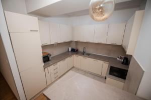 Kuchyň nebo kuchyňský kout v ubytování City Museum Apartments Banja Luka