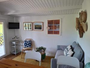 a living room with a couch and chairs and a tv at Quinta do Benjamim - Tejo "For 2, family, nature or relax" in Praia do Ribatejo